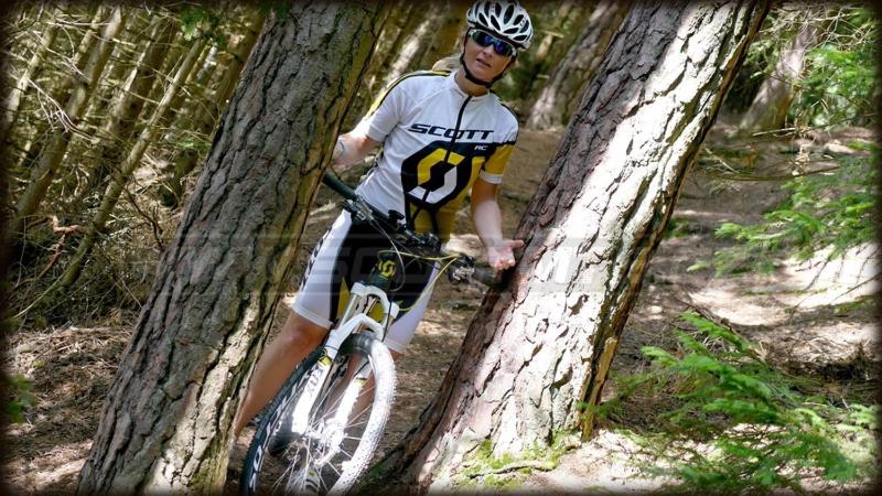 ペンション Penzion V Podzámčí Litomyšl