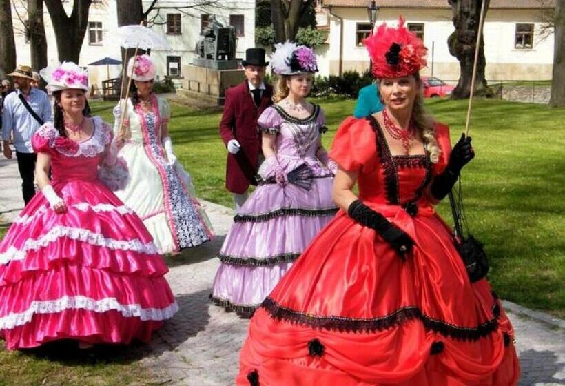 ペンション Penzion V Podzámčí Litomyšl