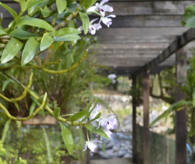 膳宿费 Pousada Agua Cristalina