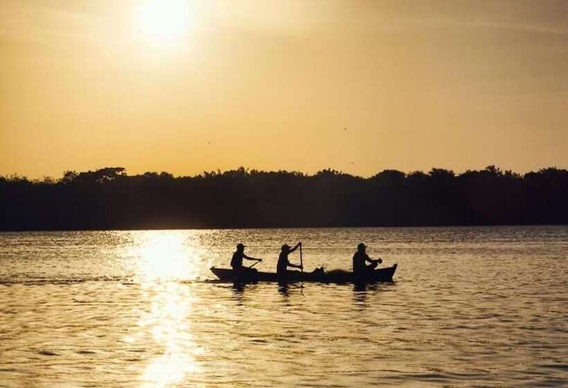 膳宿费 Pousada Asa Branca