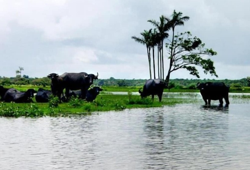 膳宿费 Pousada Asa Branca