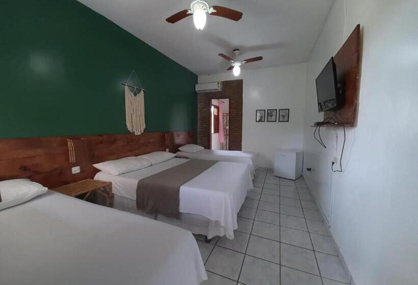 پانسیون Pousada Bicho Preguiça