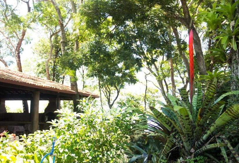 膳宿费 Pousada Da Mata