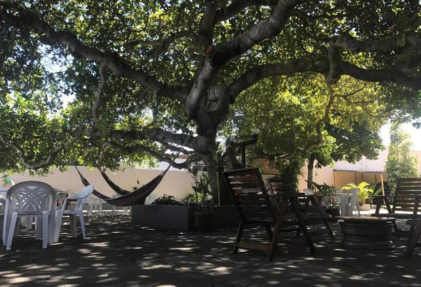 פנסיון Pousada Pé De Caju