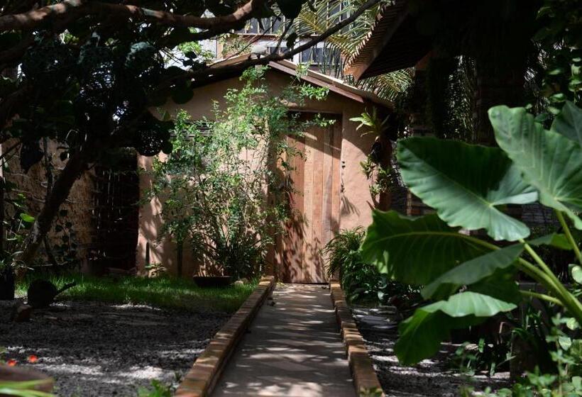 بنسيون Recanto Do Rei Chalés