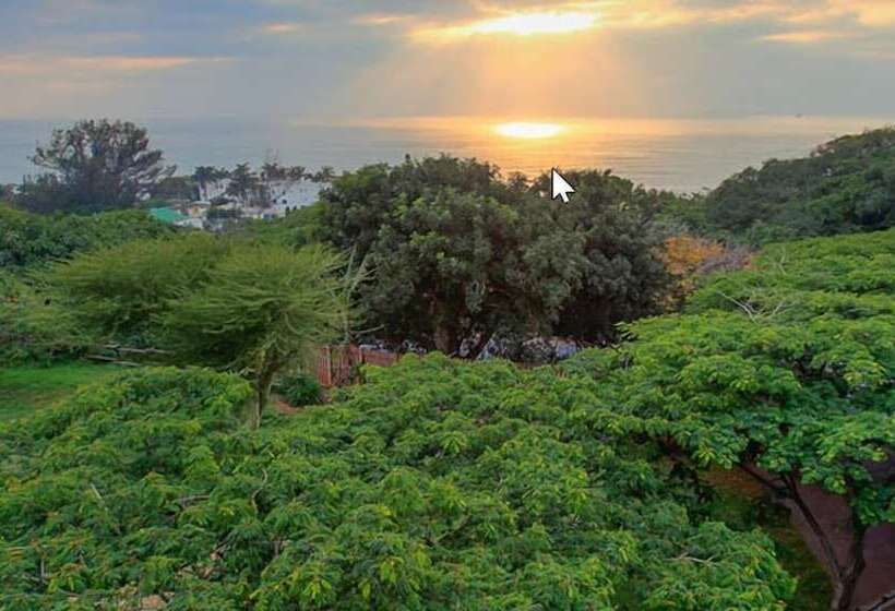 بنسيون Relax Inn