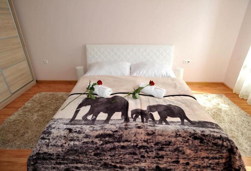 פנסיון Penzion Anesis   štúdiá