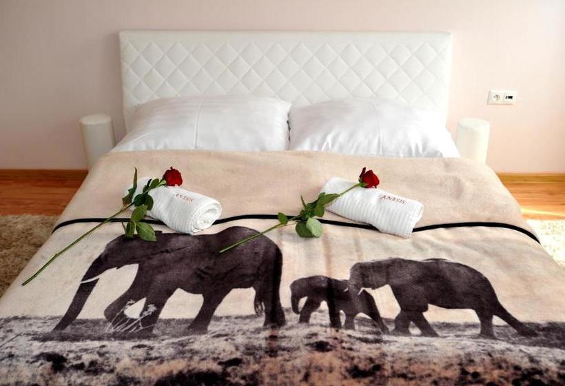 פנסיון Penzion Anesis   štúdiá