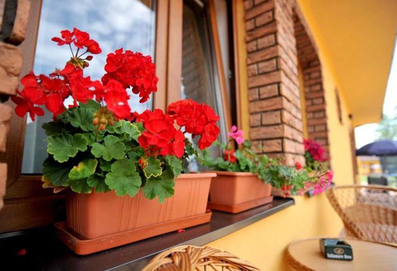 פנסיון Penzion Anesis   štúdiá