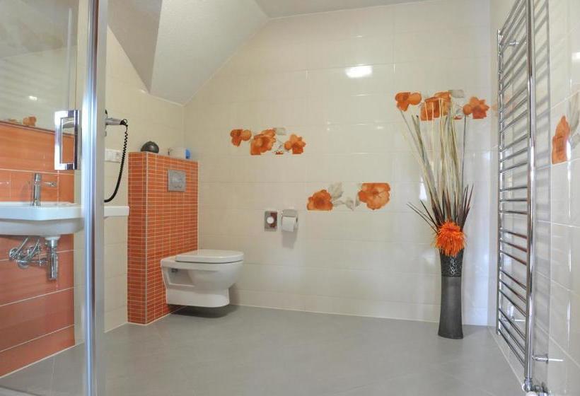 פנסיון Penzion Anesis   štúdiá