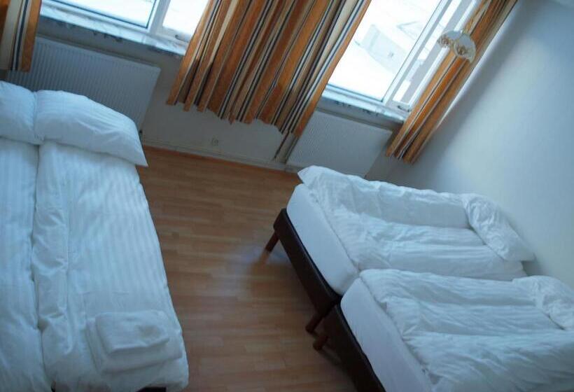 پانسیون The Nest