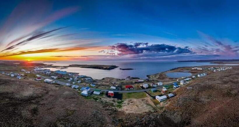 پانسیون The Nest