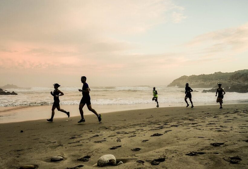 پانسیون The Tops