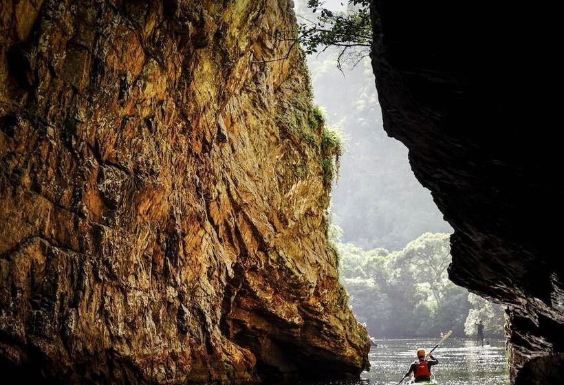 پانسیون The Tops