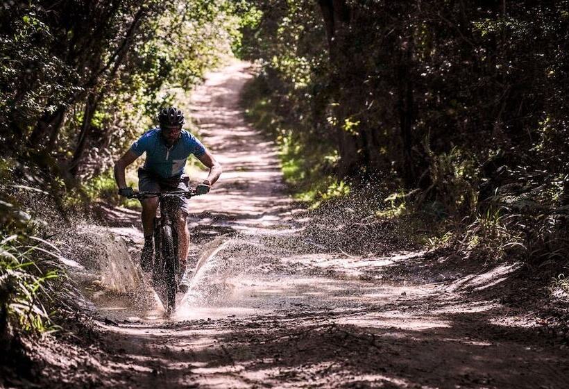 پانسیون The Tops