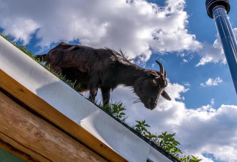 پانسیون Tihiat Kut Complex