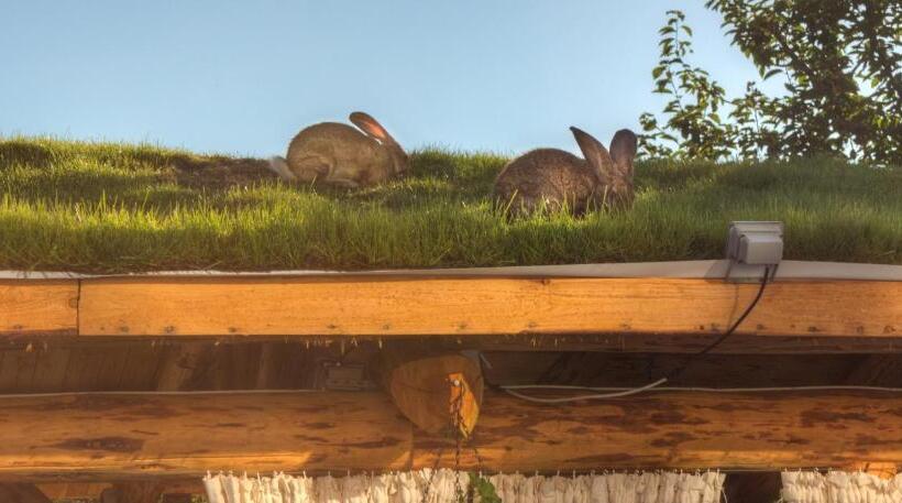 پانسیون Tihiat Kut Complex