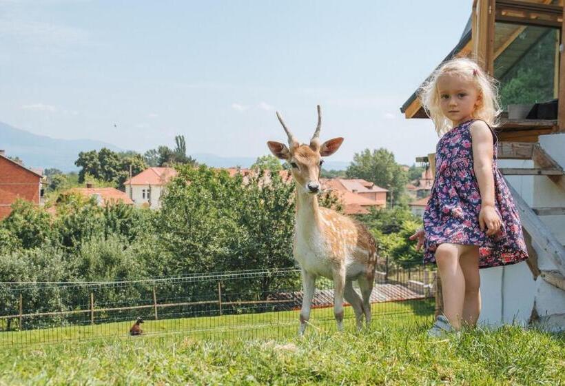 پانسیون Tihiat Kut Complex