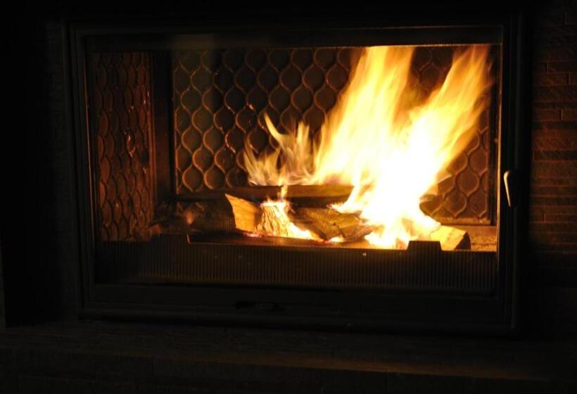 بنسيون Timis Valley, Casa Eni&dan