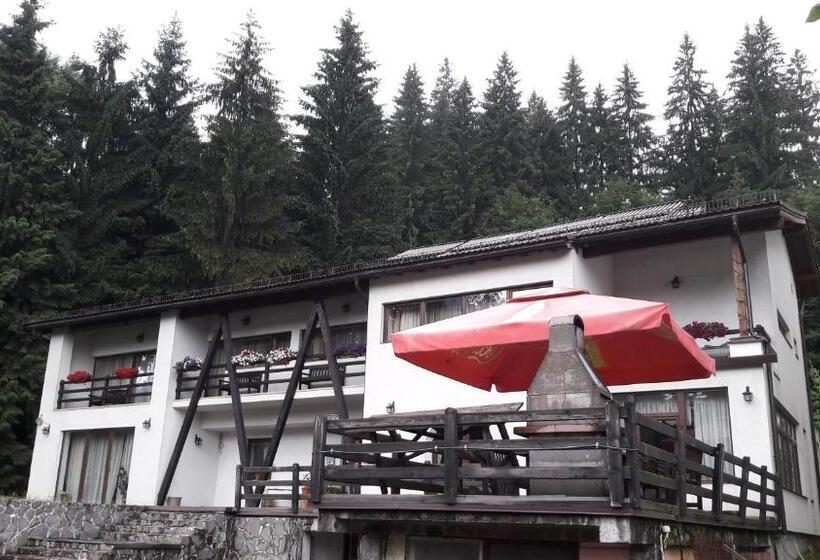 פנסיון Timis Valley, Casa Eni&dan