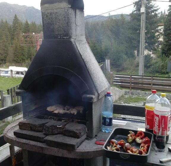 פנסיון Timis Valley, Casa Eni&dan