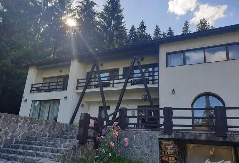 بنسيون Timis Valley, Casa Eni&dan