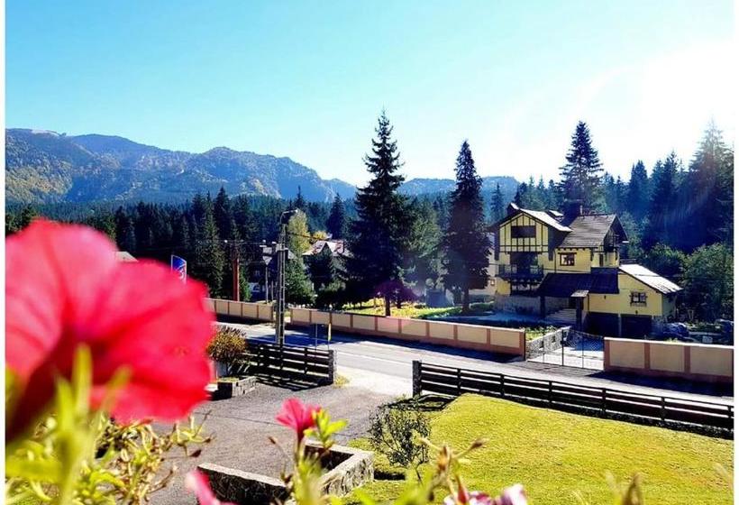 פנסיון Timis Valley, Casa Eni&dan