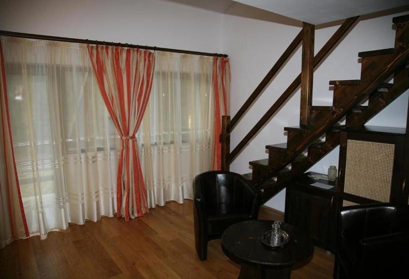 פנסיון Timis Valley, Casa Eni&dan