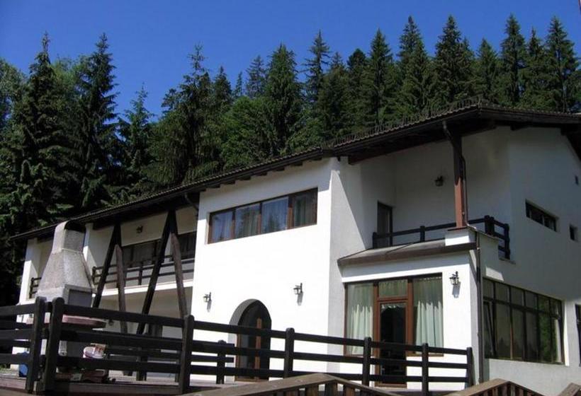 פנסיון Timis Valley, Casa Eni&dan