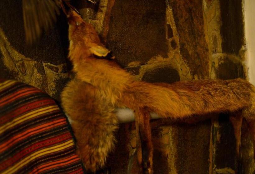 膳宿费 Topuzovi Guest House