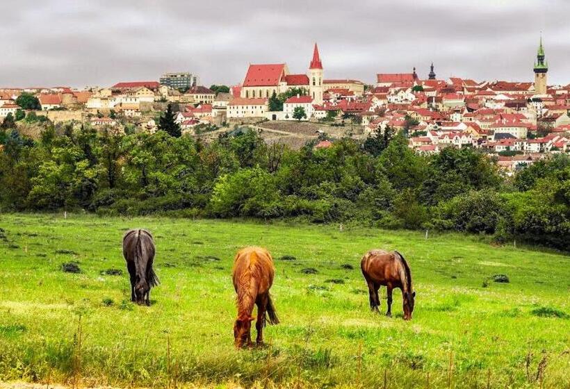 پانسیون Váš Sklep   Vinný Sklep A Penzion
