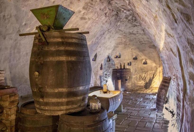 Пансион Váš Sklep   Vinný Sklep A Penzion