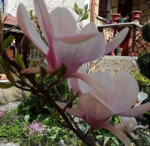 膳宿费 Veselata Guest House