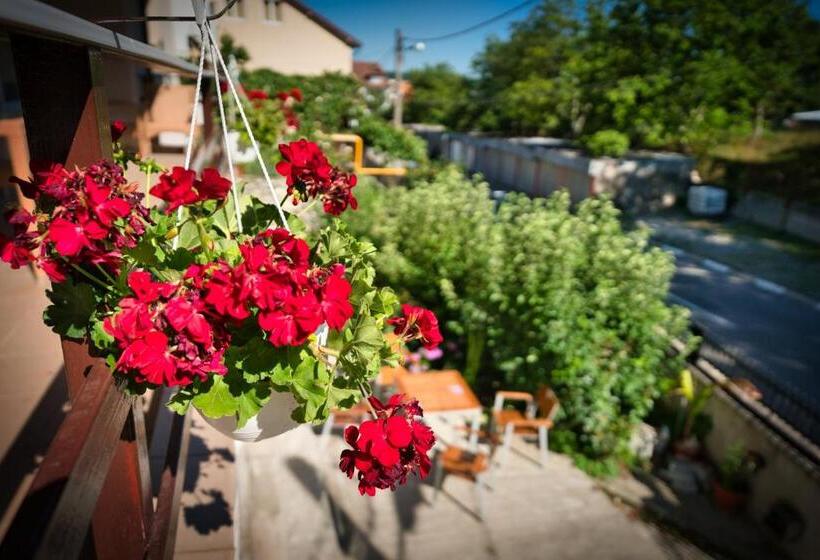 펜션 Vila Victoria