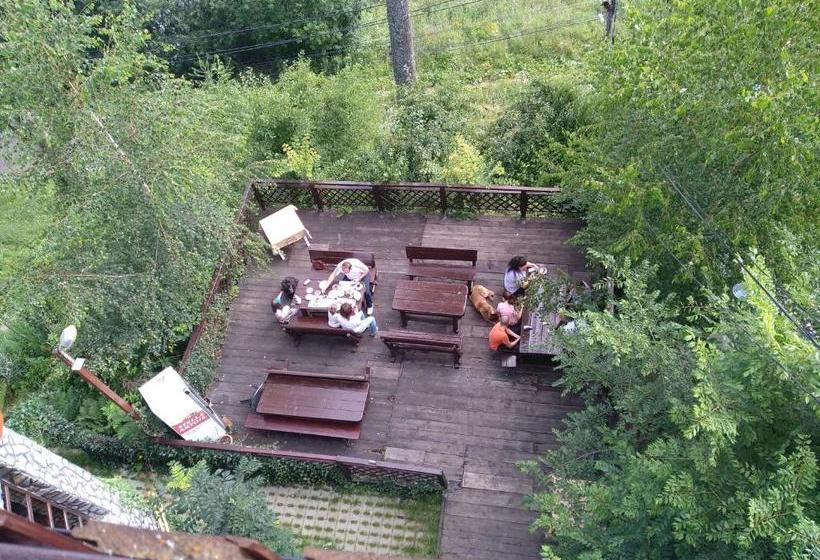 Pensiune Turistica Milcov Vladet