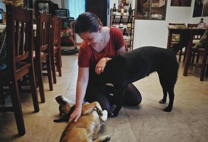 بنسيون Yuanyang Flower And Horse Inn