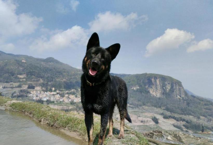 بنسيون Yuanyang Flower And Horse Inn