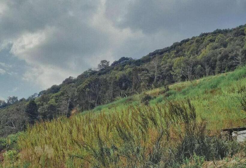 펜션 Yuanyang Flower And Horse Inn