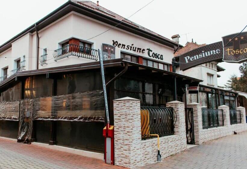 Pensiune Turistica Tosca