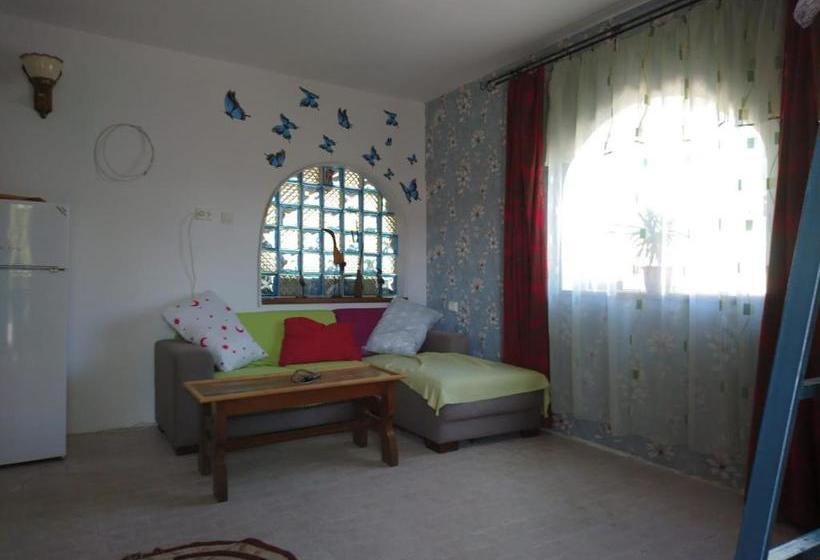 Pensiunea Delta D.m.y