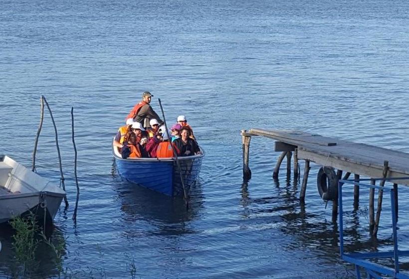 Pensiunea Delta D.m.y