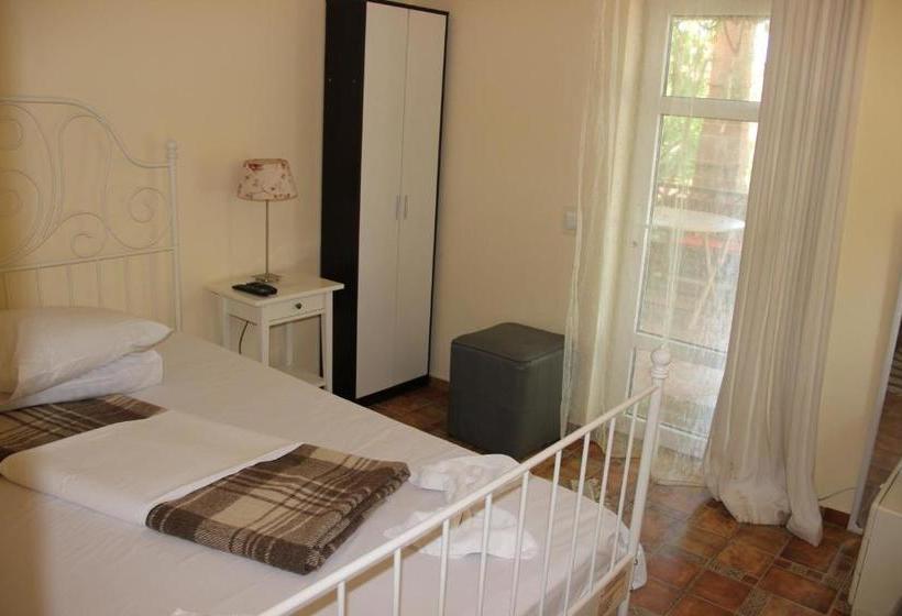 Pensiunea Delta D.m.y