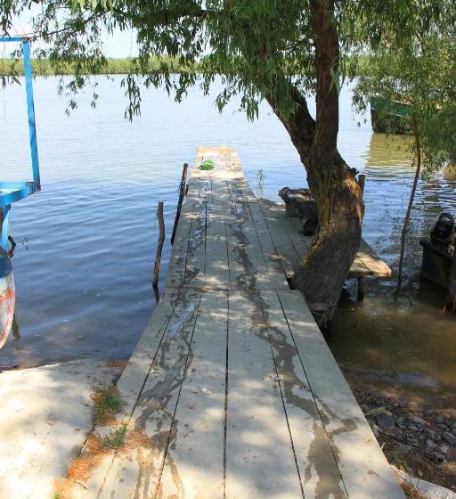 Pensiunea Delta D.m.y