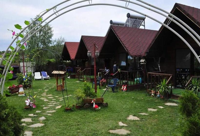 Pensiunea Delta D.m.y