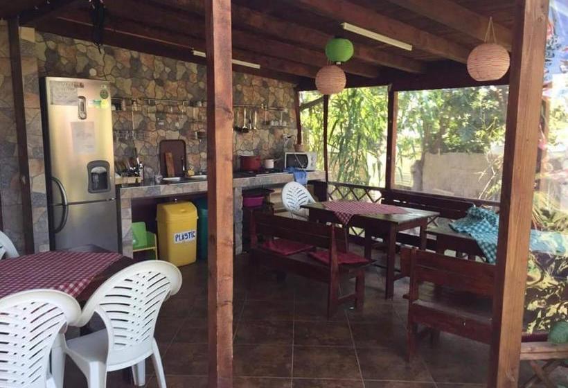 Pensiunea Delta D.m.y