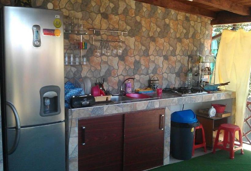 Pensiunea Delta D.m.y