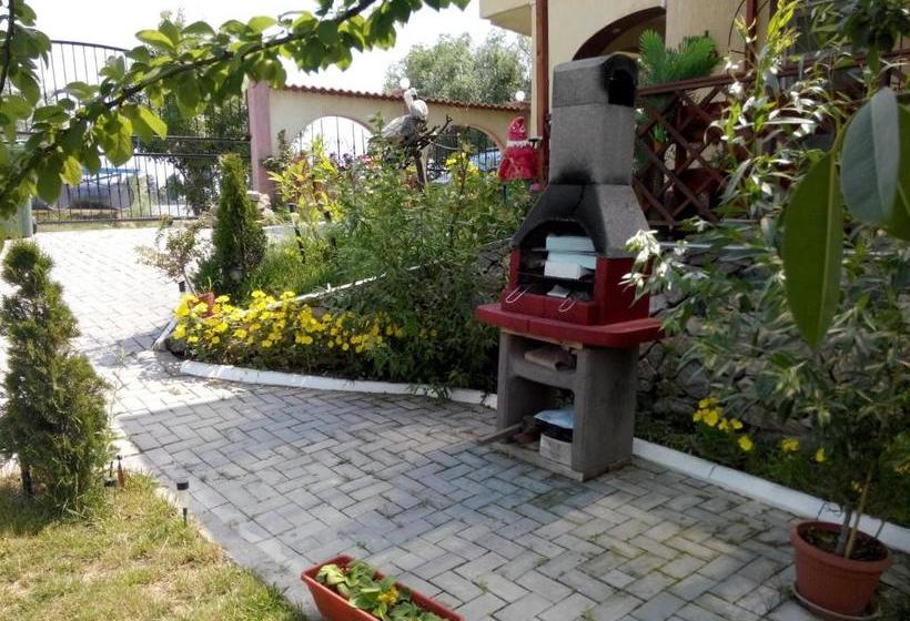 Pensiunea Delta D.m.y