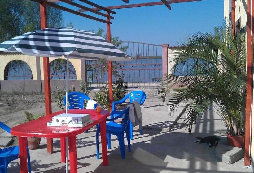 Pensiunea Delta D.m.y