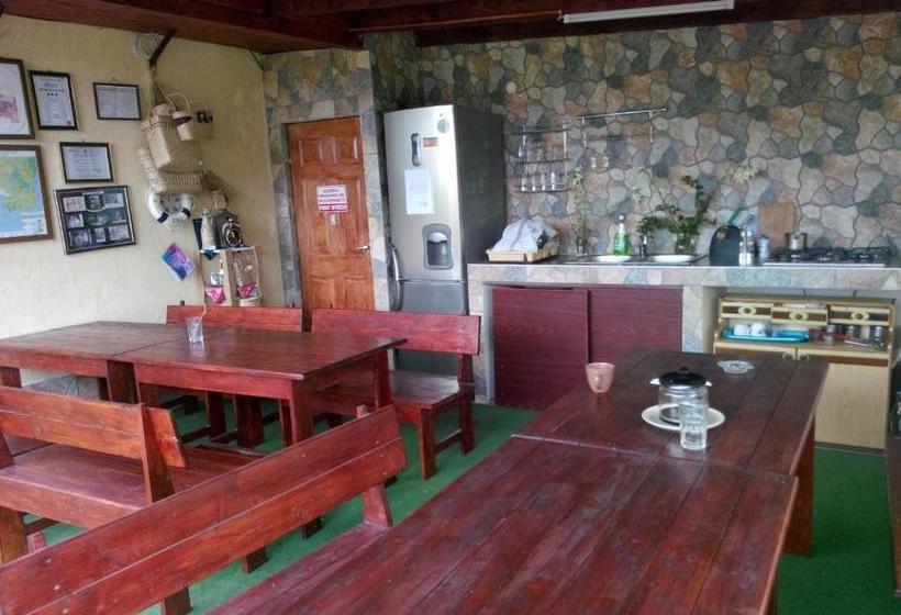 Pensiunea Delta D.m.y