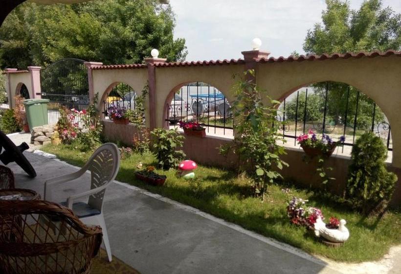 Pensiunea Delta D.m.y